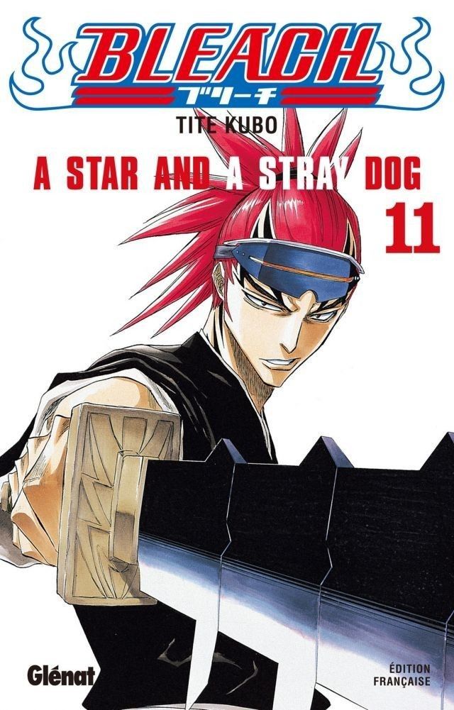A Star and a Stray Dog - Bleach, tome 11 image