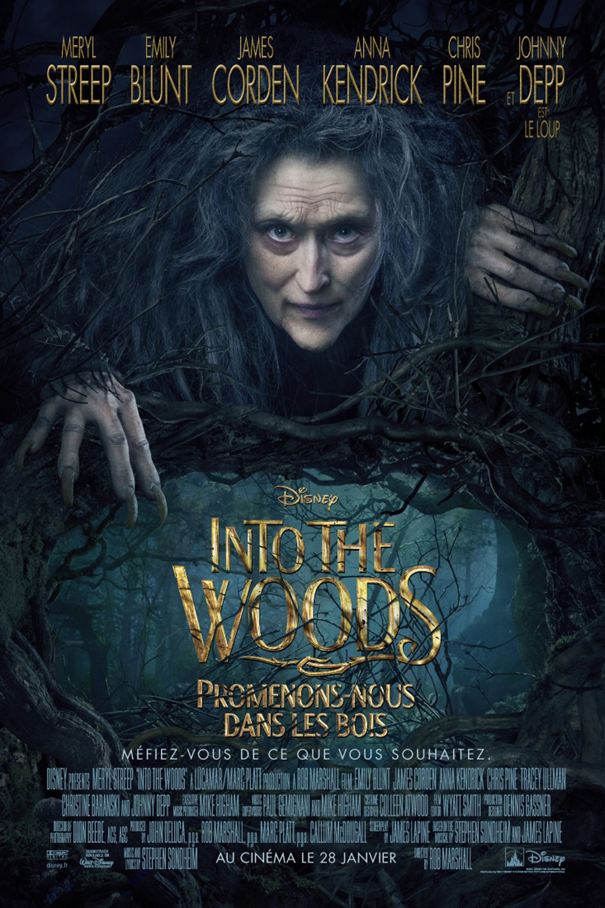 Into the Woods - Promenons-nous dans les bois image